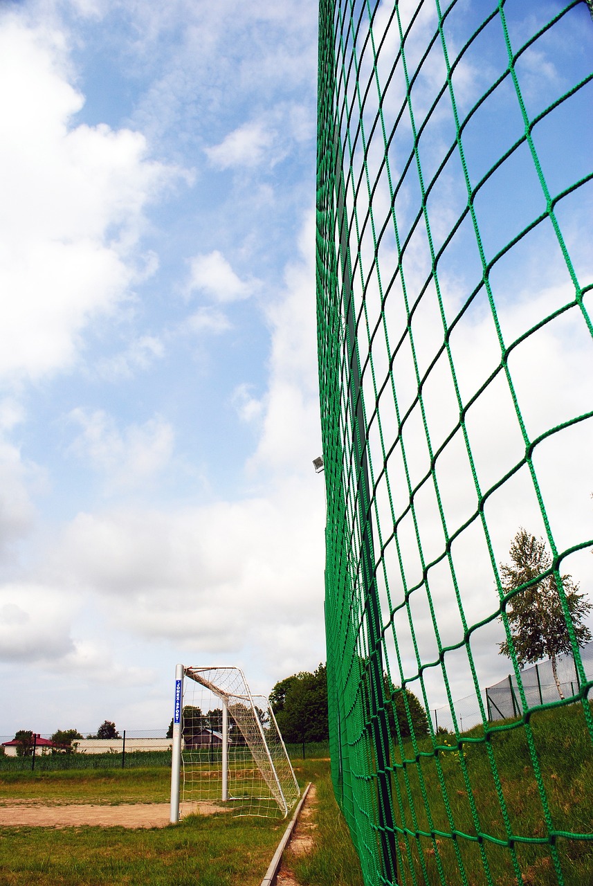 （十四冬）“十四冬”开幕式上的执旗手白晶莹：片刻荣光，一生难忘.