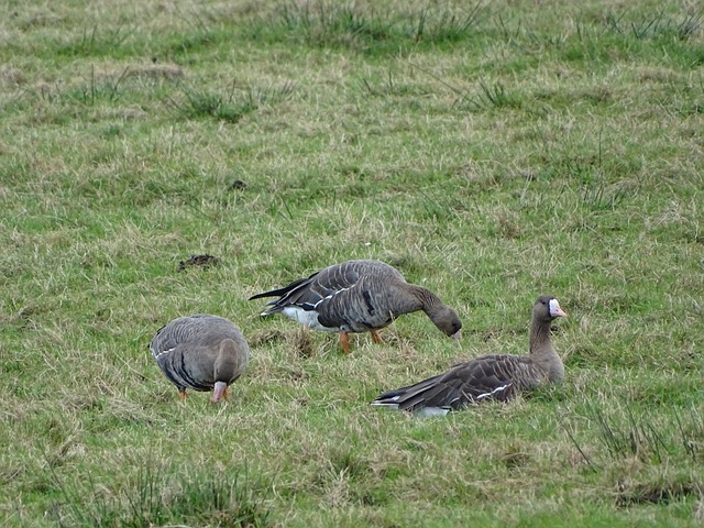 让每场比赛 让每场比赛